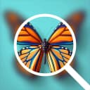 Image Upscaler icon