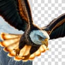 Background Remover icon