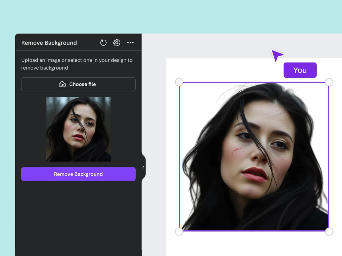 Background Remover App Intro 1