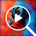 Video Upscaler icon